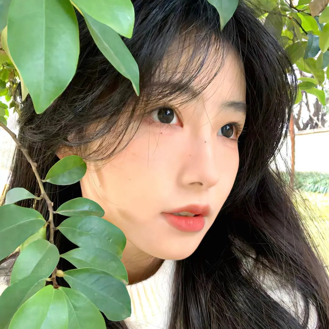 蒙查查王老五